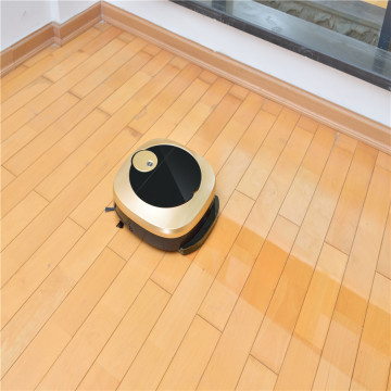 Home Cleaning Route Planning Vacuum Cleaner Robot