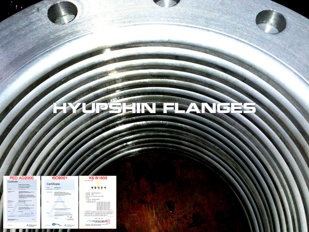 hyupshin_flanges_ansi150_lap_joint