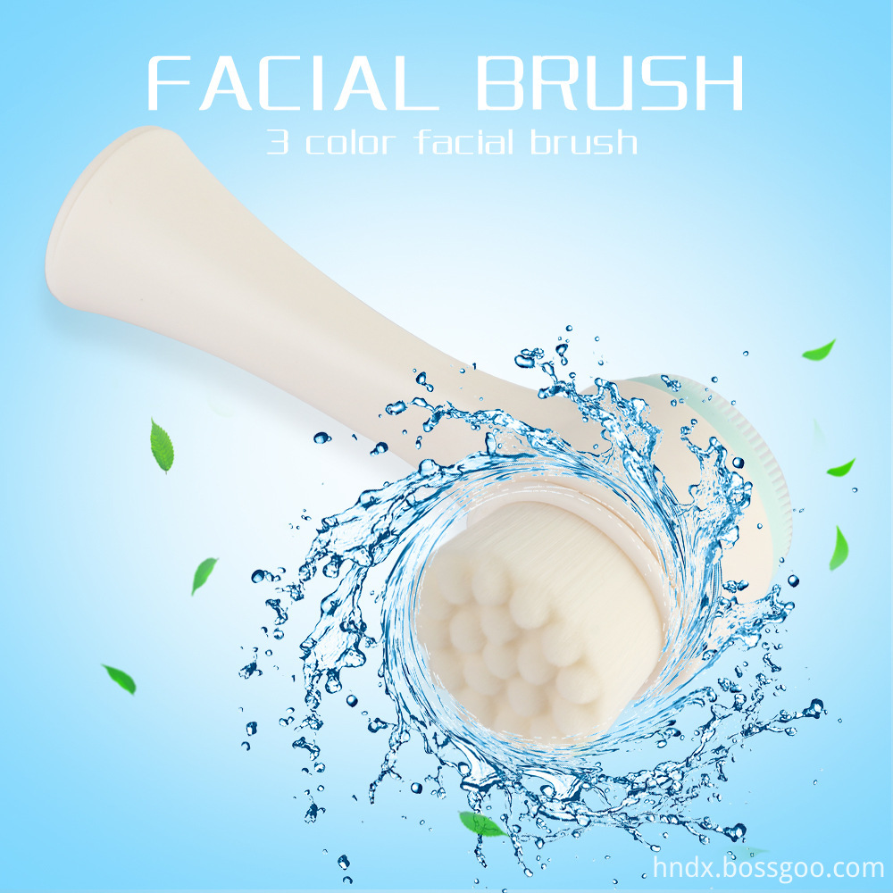 Facial Cleaning Brush 1