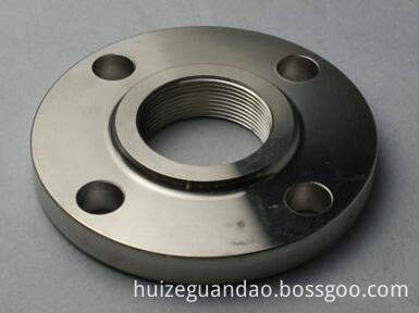 Ss Threaded Flange 01