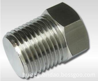 npt fittings 3000lb plug