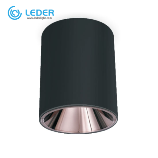 LEDER High Qualitty Modern 30W LED Downlight