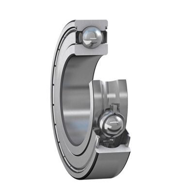 Iron Shielded Bearing