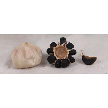 Designer Foods Program for black garlic