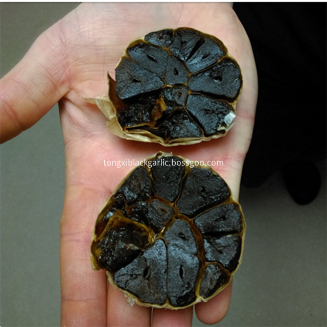 Multi Black Garlic 044