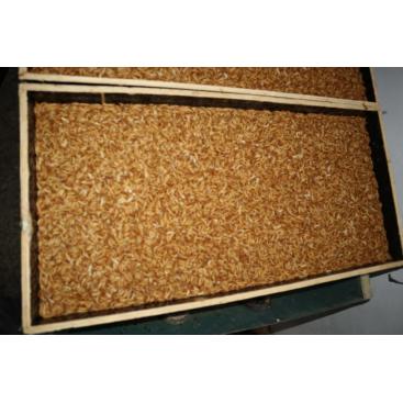 Aquarium Fish Tank Feed