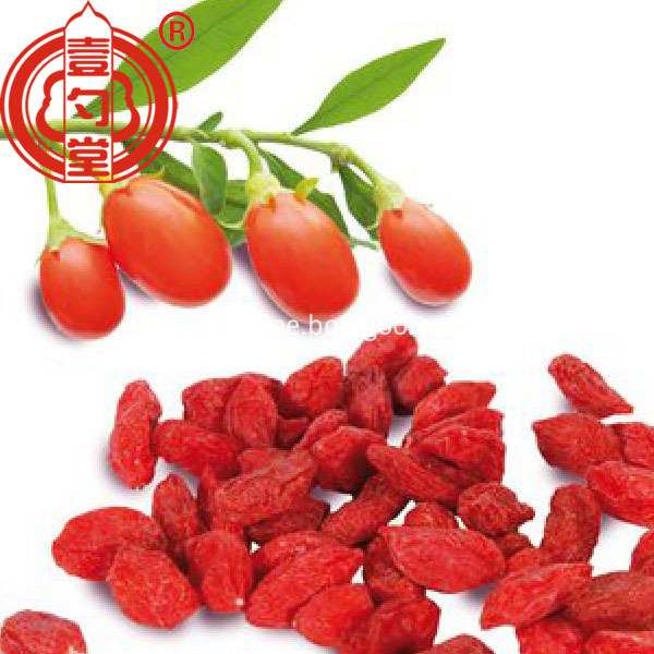 Goji Berries Red Dried Fruits