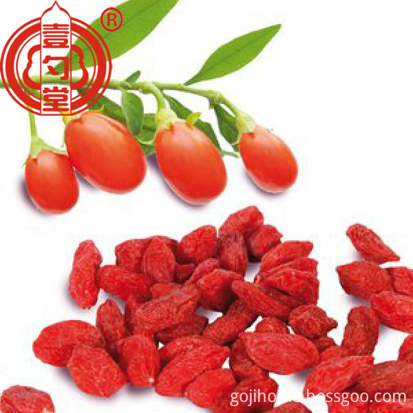 Goji 2