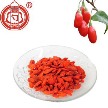 The Health Dried Goji Berries Red Fruit