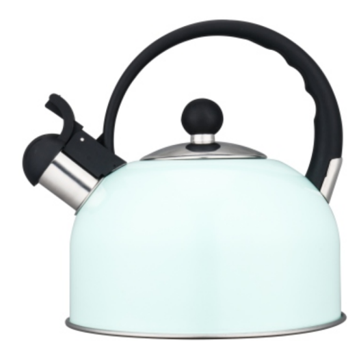 3.0L pretty tea kettle