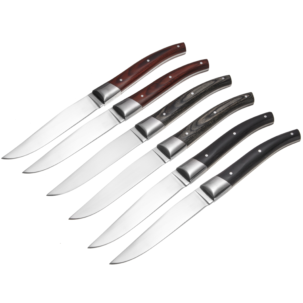 Colorful Handle Steak Knives