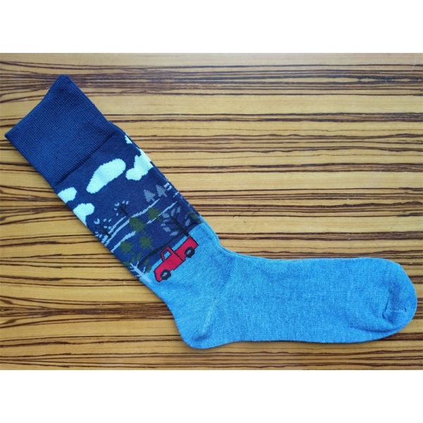 Fashion Holiday Socks for Men and Women