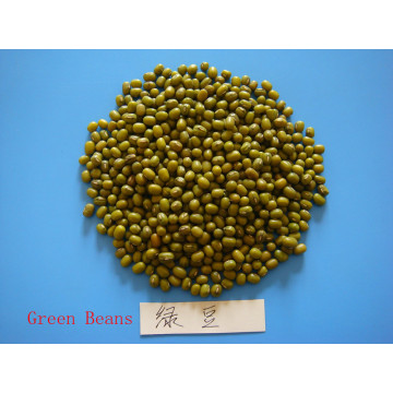 dried green beans