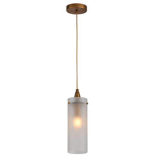 Single glass Material Hanging Pendant Lamp