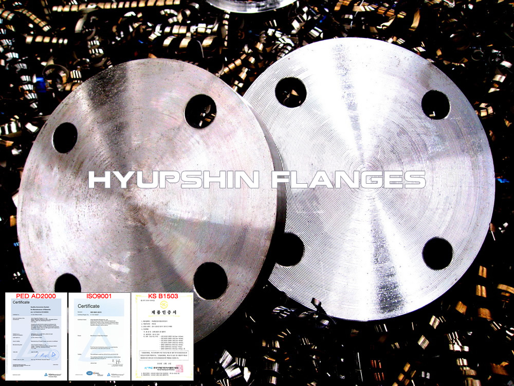 hyupshin_flanges_blind_pn16