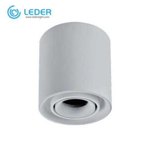 LEDER Aluminnum Decorative 3W LED Downlight