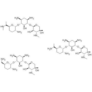 Gentamicin CAS 1403-66-3