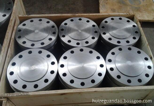 SA105 Flange Blind 