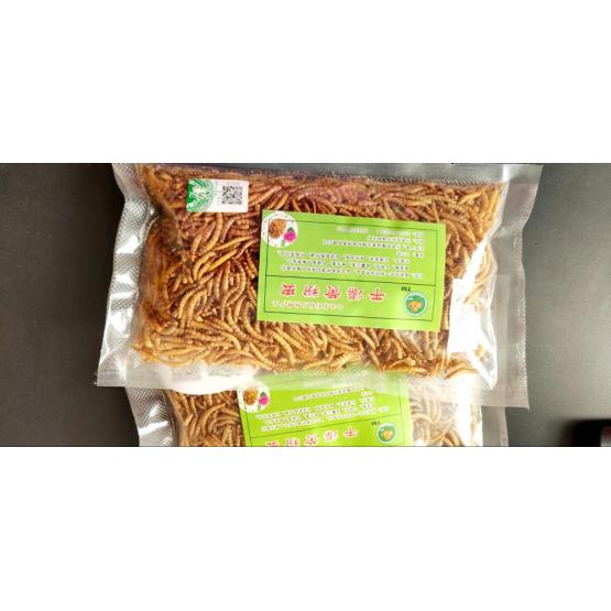 Mealworms Rich In Protein