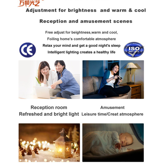 Smart Disinfection Home Ceiling Light LED