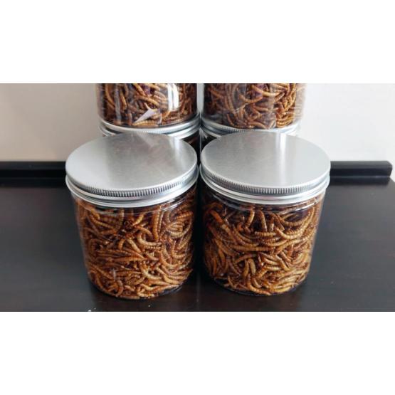 Feed insects of yellow mealworm