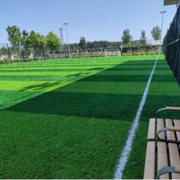 Professional high quality artificial grass for hotel