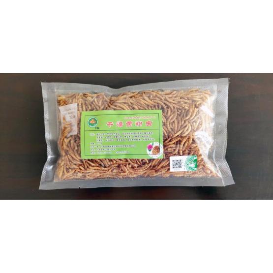 Mealworm with high quality protein