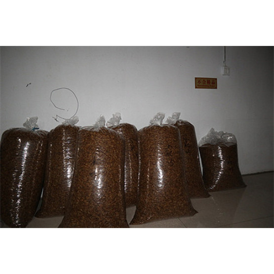 Bulk Mealworm Poultry Feed