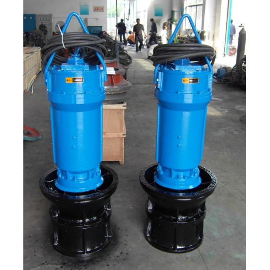 Submersible axial flow pump