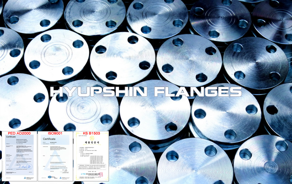 hyupshin_flanges_blind_blank