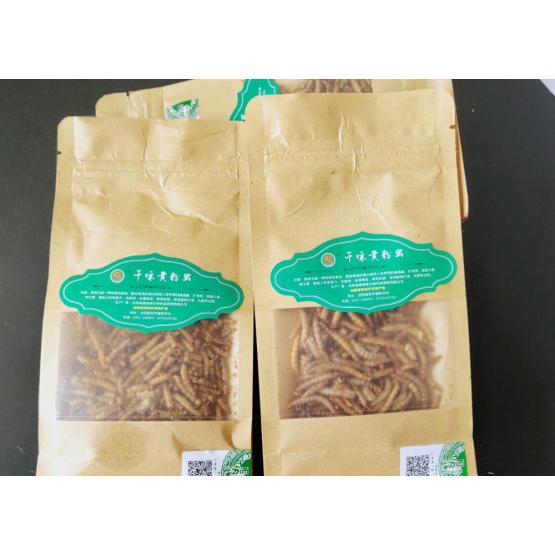 mealworms for your pet