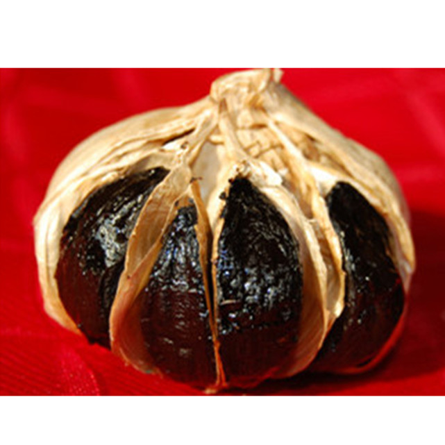 black garlic (15)