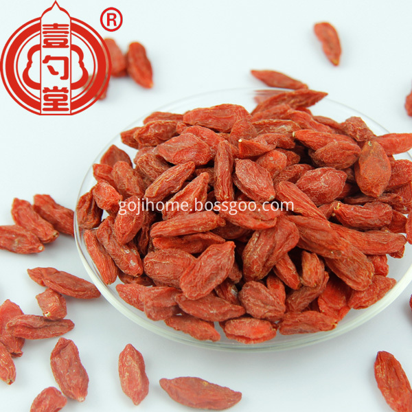 Non-Organic Goji Berries Fruit Low Pesticide