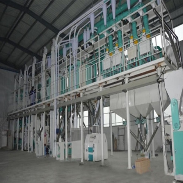 Small scale maize milling machine for making flour