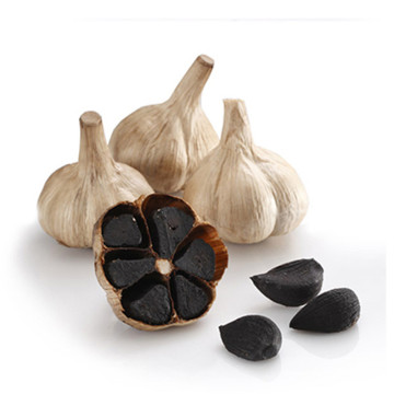 Nomal Black Garlic with Our Life
