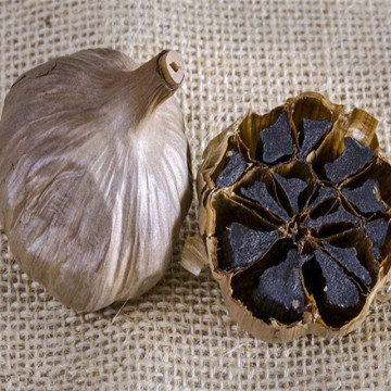 The black garlic The black garlic