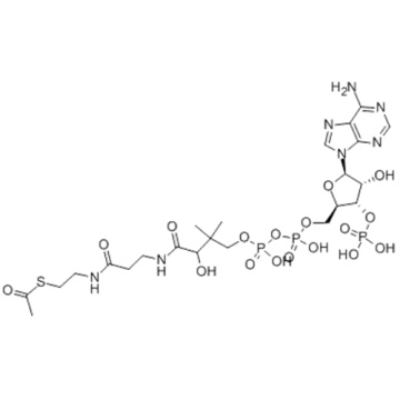 Coenzyme A, S-acetate,trisodium salt CAS 102029-73-2