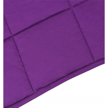 Luxury High Quality 60*80 Weighted Blanket