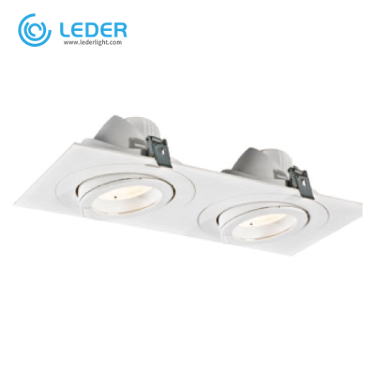 LEDER Modern Rectangular 30W*2 LED Downlight