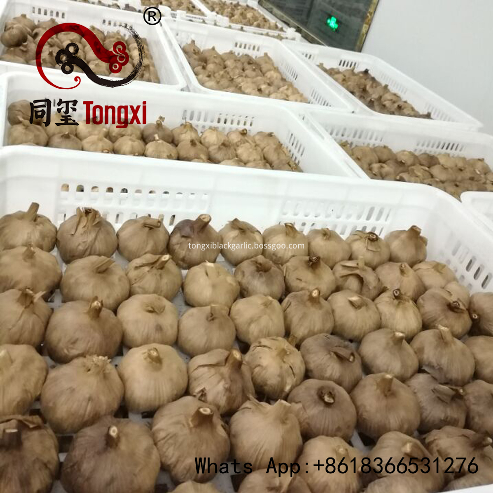 black garlic mm