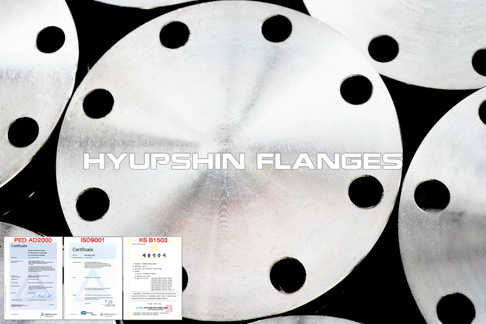 Hyupshin Flanges Blank