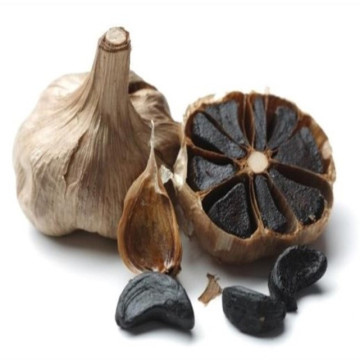 Vegetable products black garlic fermentated