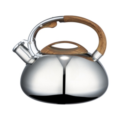 3.5L turquoise tea kettle