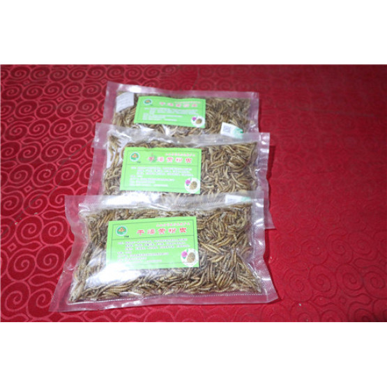 Reptile Food Dried Mealworm