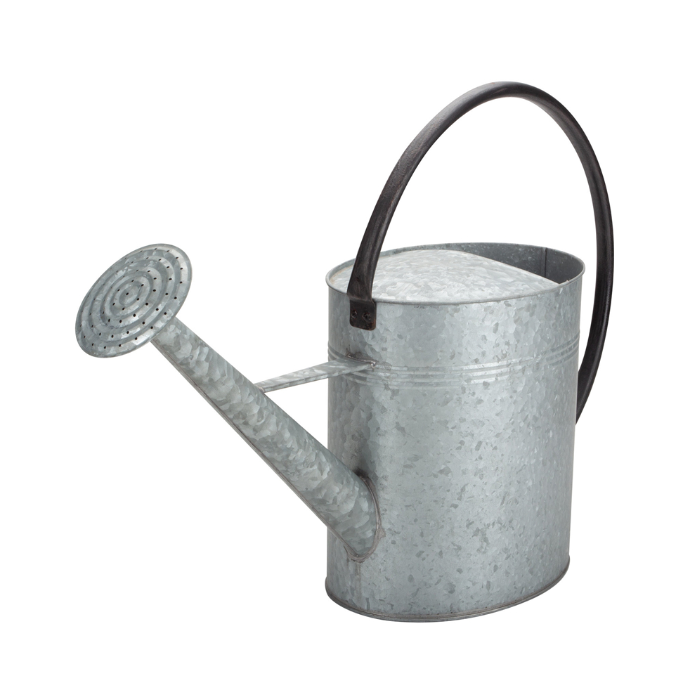 Smith And Hawken Watering Can