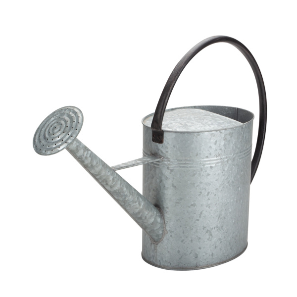 Smith And Hawken Vintage Galvanized Watering Can Nozzle
