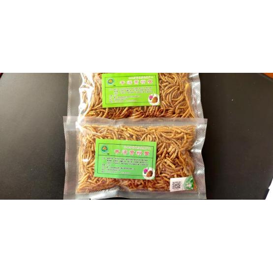 pets feed of dry yellow mealworms