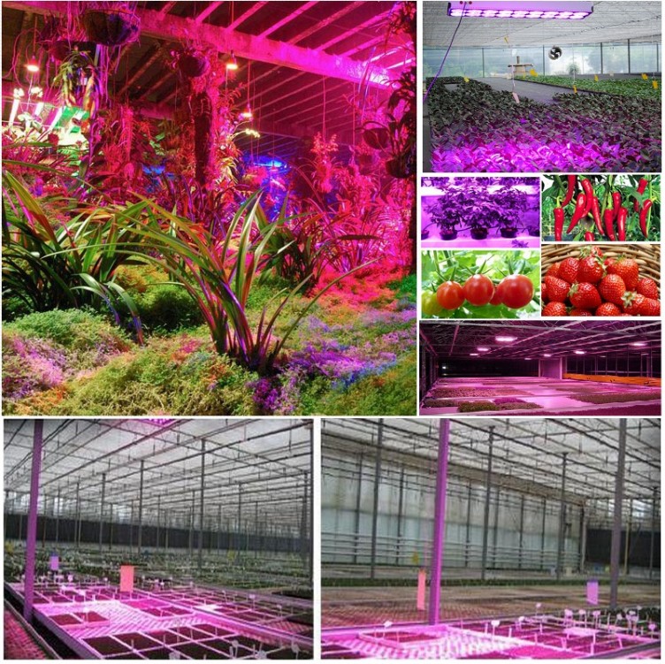 LED Plant Grow Light 65W