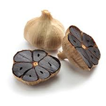 Black Garlic Benefit in the Daily Diet