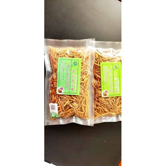 Superior Quality Mealworms with High Protein for Export